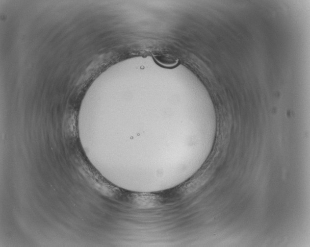 X0000053120336200508012158