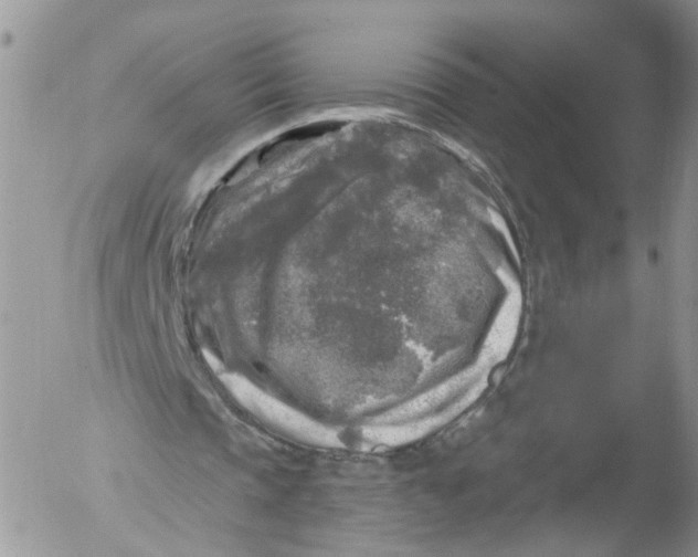 X0000053120337200508012157