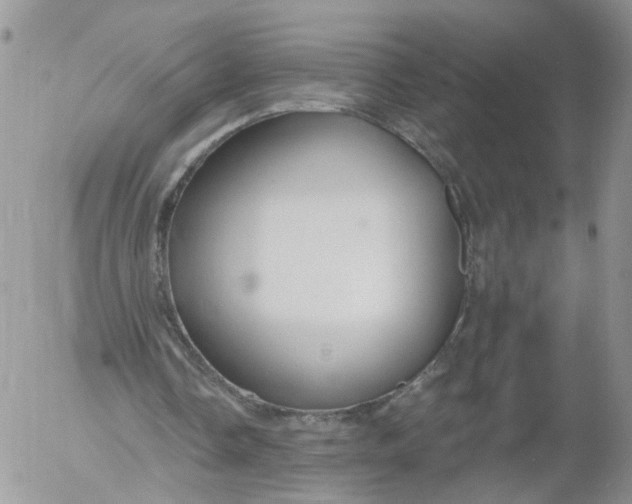 X0000053120338200508012157