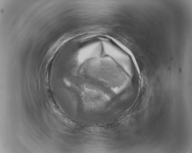 X0000053120339200508012157