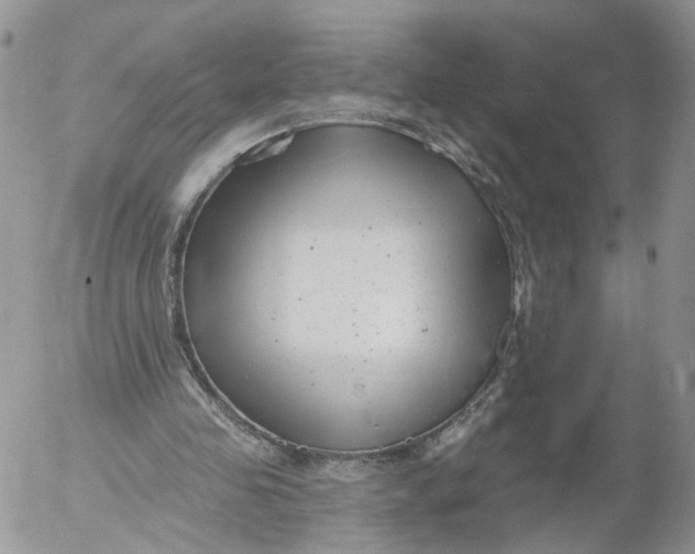 X0000053120341200508012157