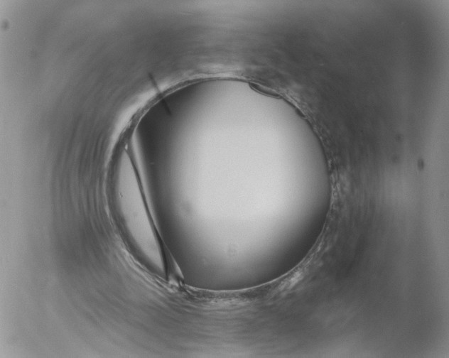 X0000053120342200508012157