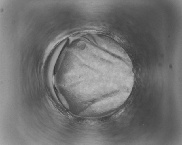 X0000053120343200508012157