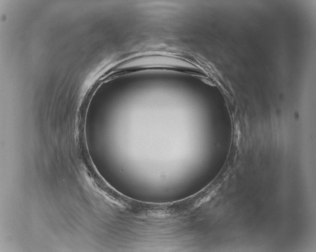 X0000053120344200508012157