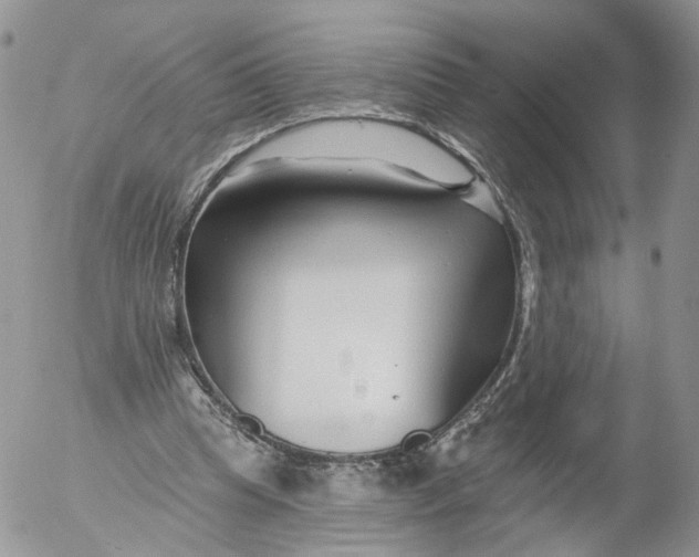 X0000053120345200508012157