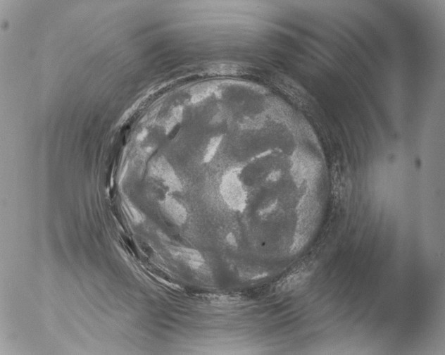 X0000053120347200508012157