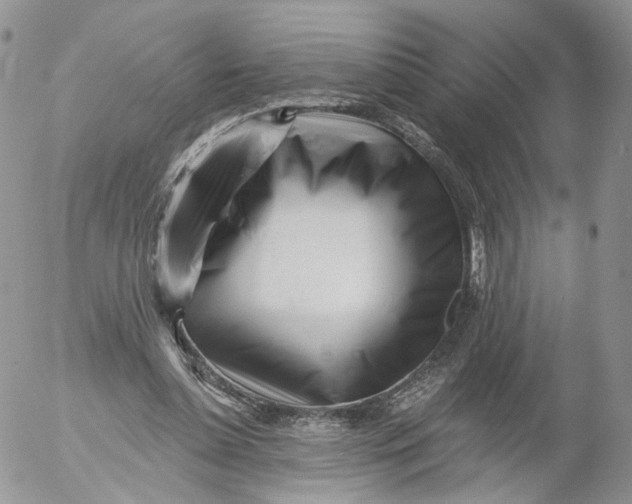 X0000053120348200508012157