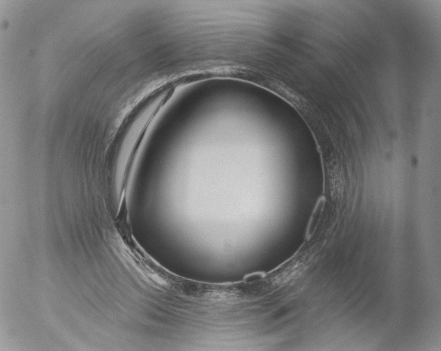 X0000053120350200508012157