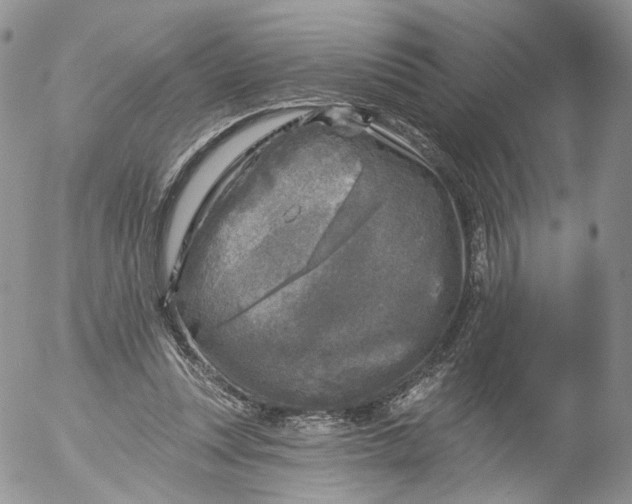 X0000053120351200508012157