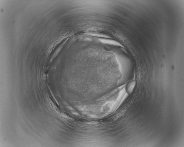 X0000053120353200508012157