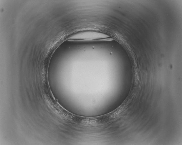 X0000053120354200508012157