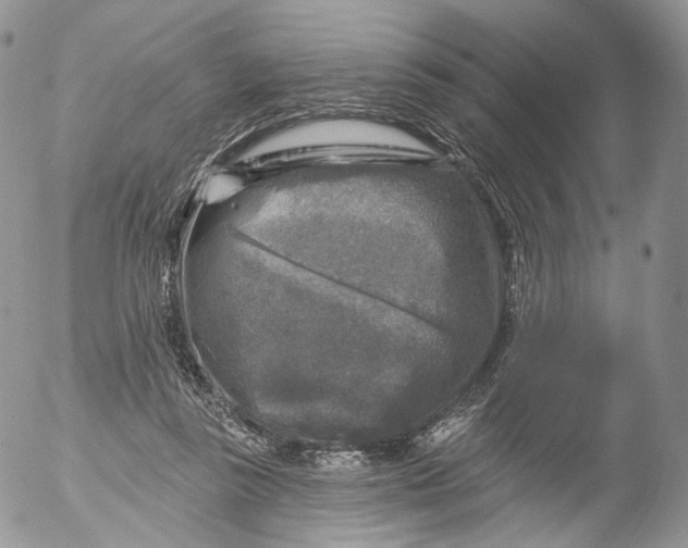 X0000053120355200508012157