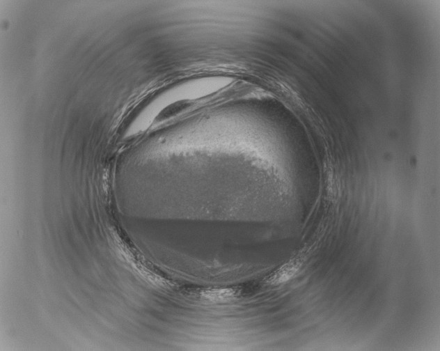 X0000053120357200508012157