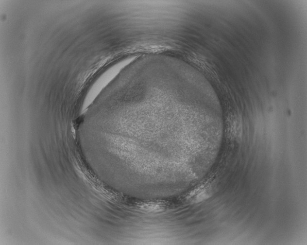 X0000053120358200508012157