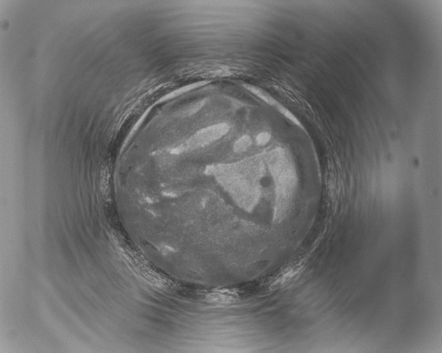 X0000053120359200508012157