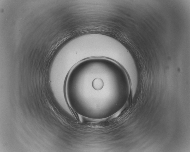 X0000053120360200508012157