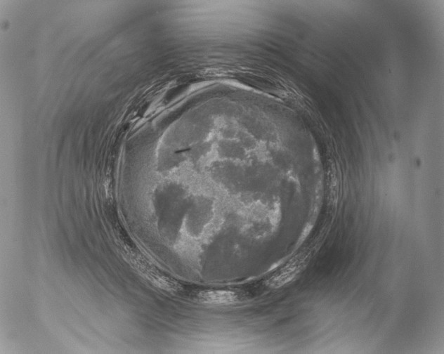 X0000053120361200508012157