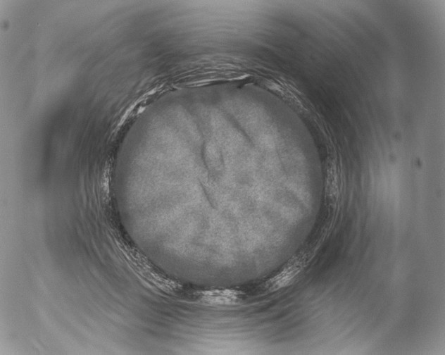 X0000053120363200508012157