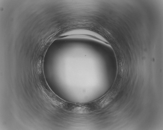 X0000053120364200508012157