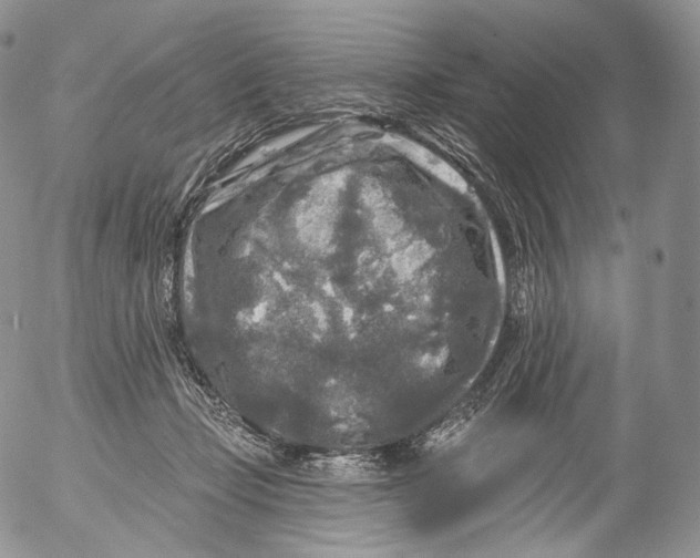 X0000053120365200508012157