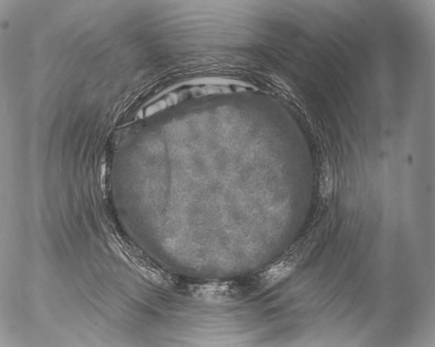 X0000053120366200508012157