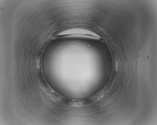 X0000053120368200508012158