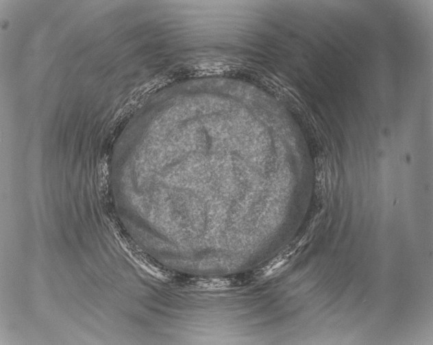 X0000053120369200508012158