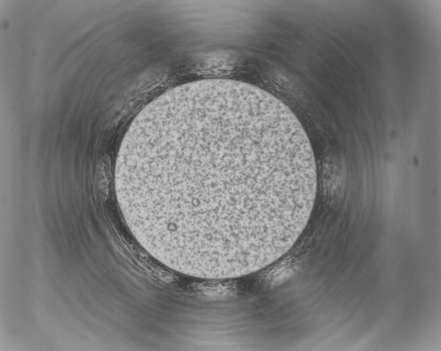 X0000053120370200508012158