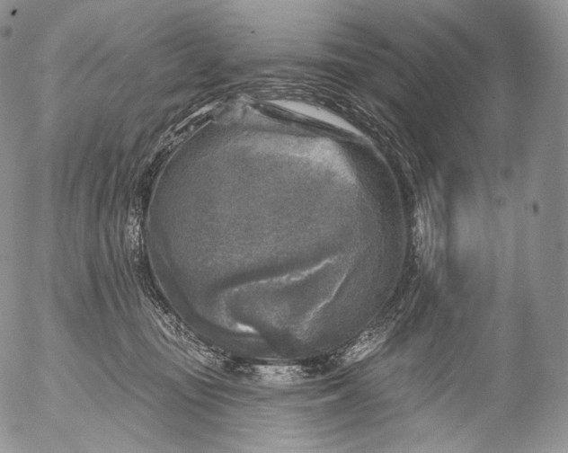 X0000053120371200508012158