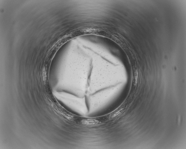 X0000053120372200508012158