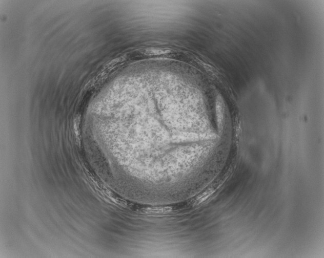 X0000053120373200508012158