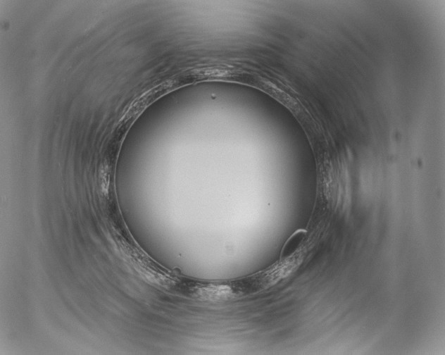 X0000053120374200508012158