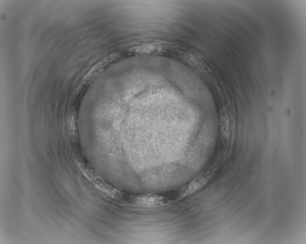 X0000053120375200508012158