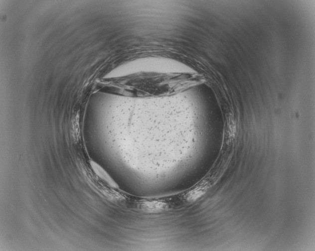 X0000053120376200508012158