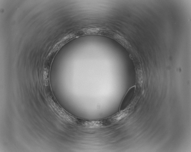 X0000053120378200508012158