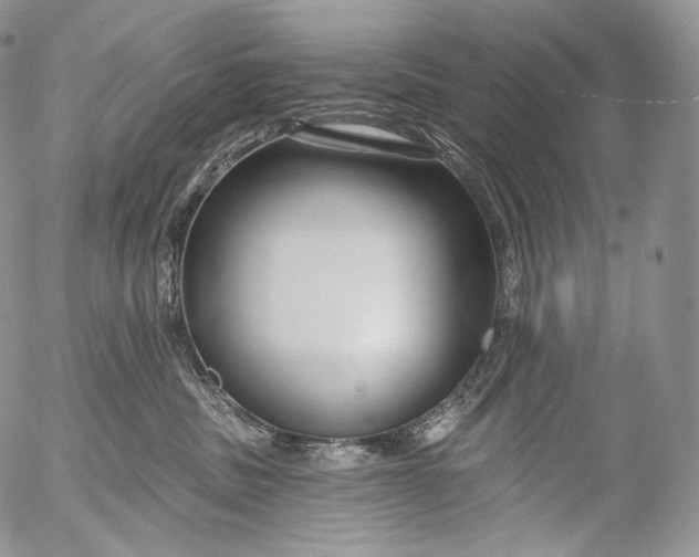 X0000053120379200508012158