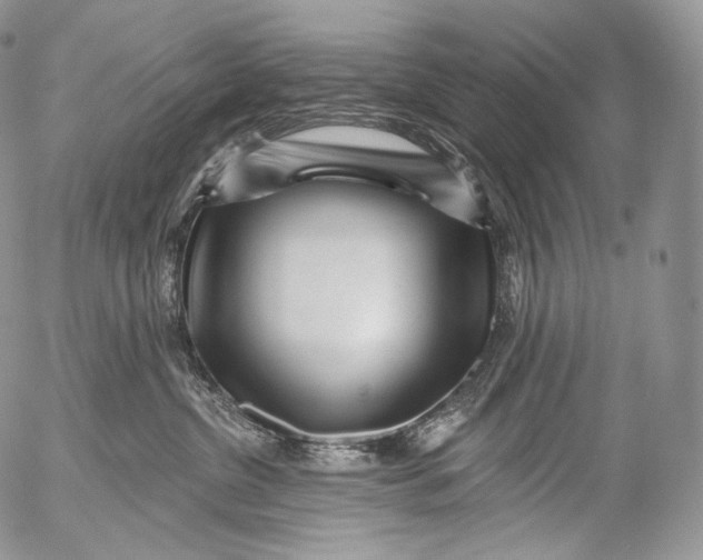 X0000053120380200508012158