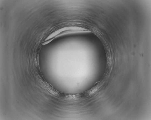 X0000053120381200508012158