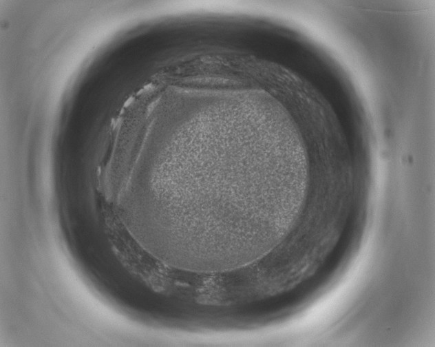 X0000053120382200508012158