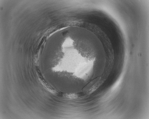 X0000053120383200508012158