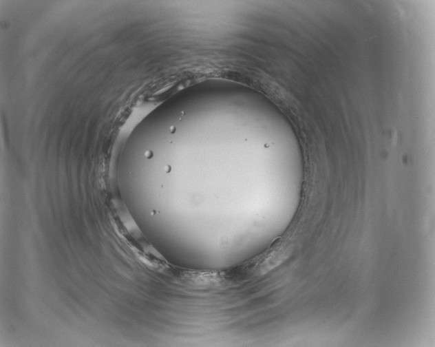 X0000053120384200508012158