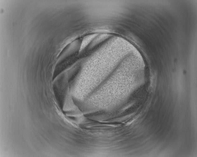 X0000053120385200508012157