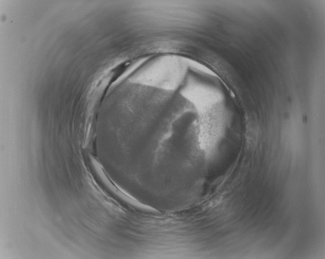 X0000053120386200508012157