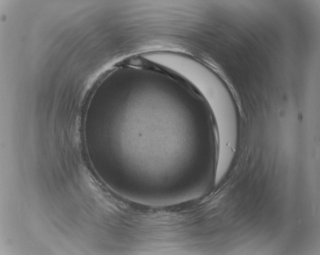 X0000053120387200508012157