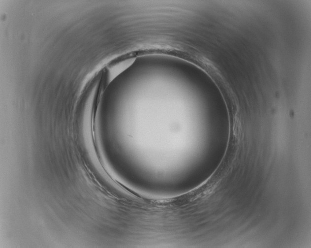 X0000053120388200508012157