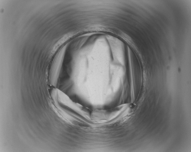 X0000053120389200508012157