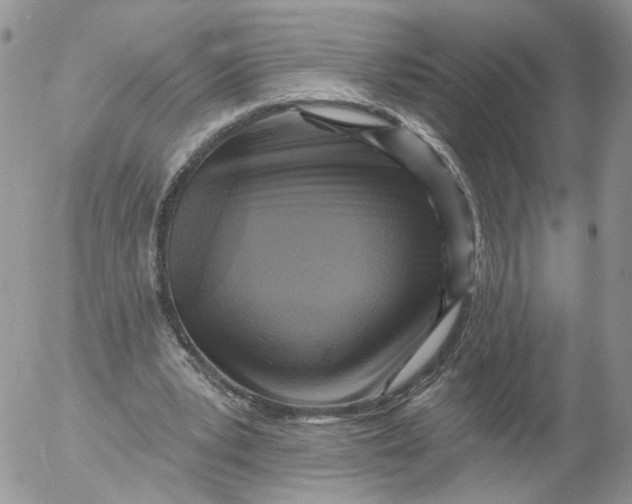 X0000053120391200508012157