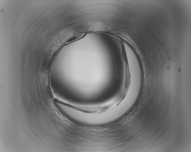 X0000053120393200508012157