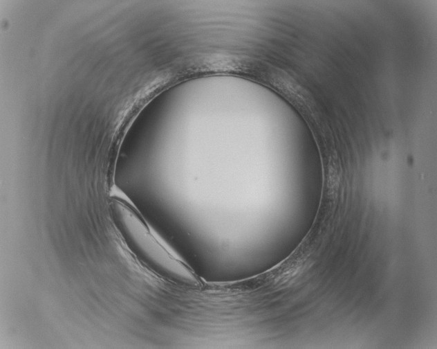 X0000053120394200508012157