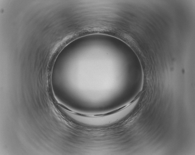 X0000053120395200508012157